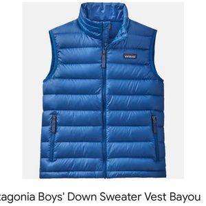 Boys Patagonia down sweater vest